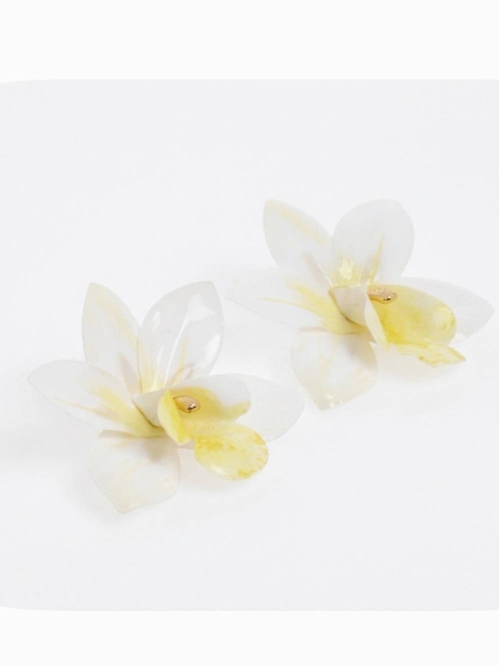 NWT ⚜️🤍⚜️ Piper K White Orchid Large Flower Stud Earrings